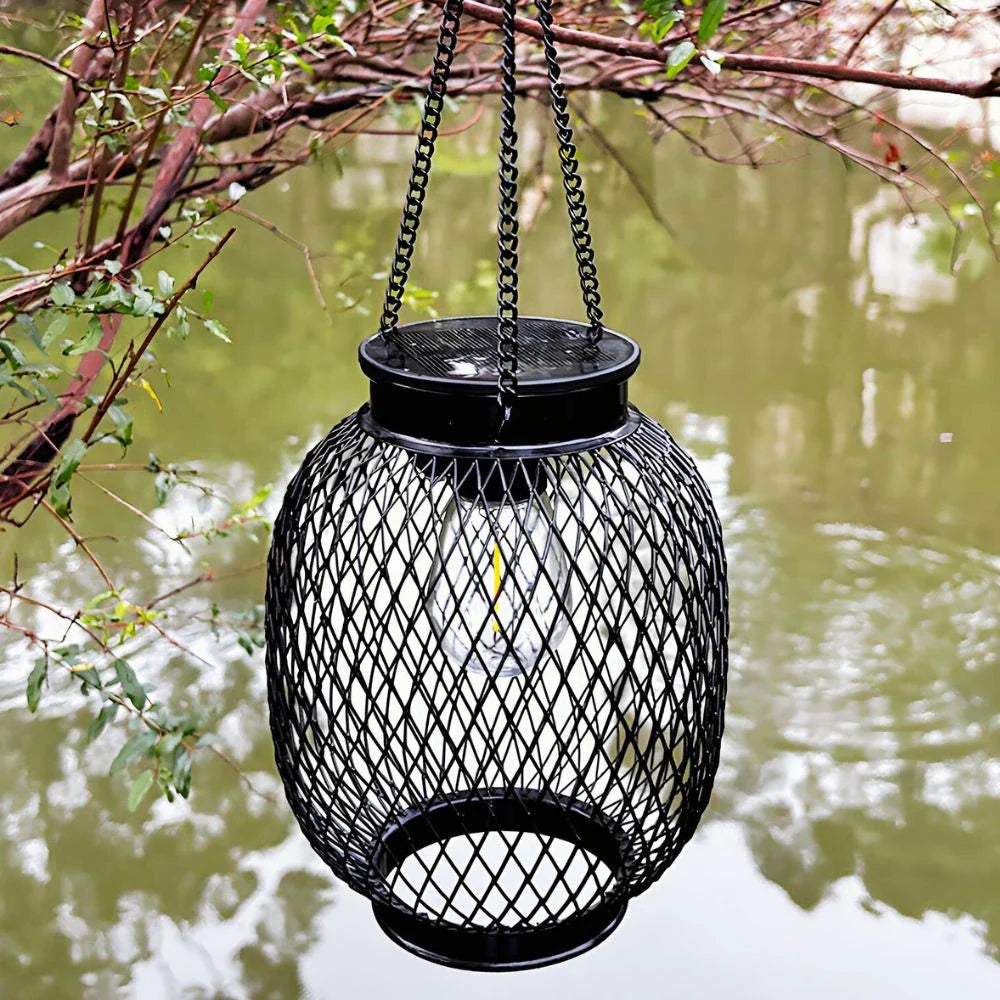 Luminous Lantern