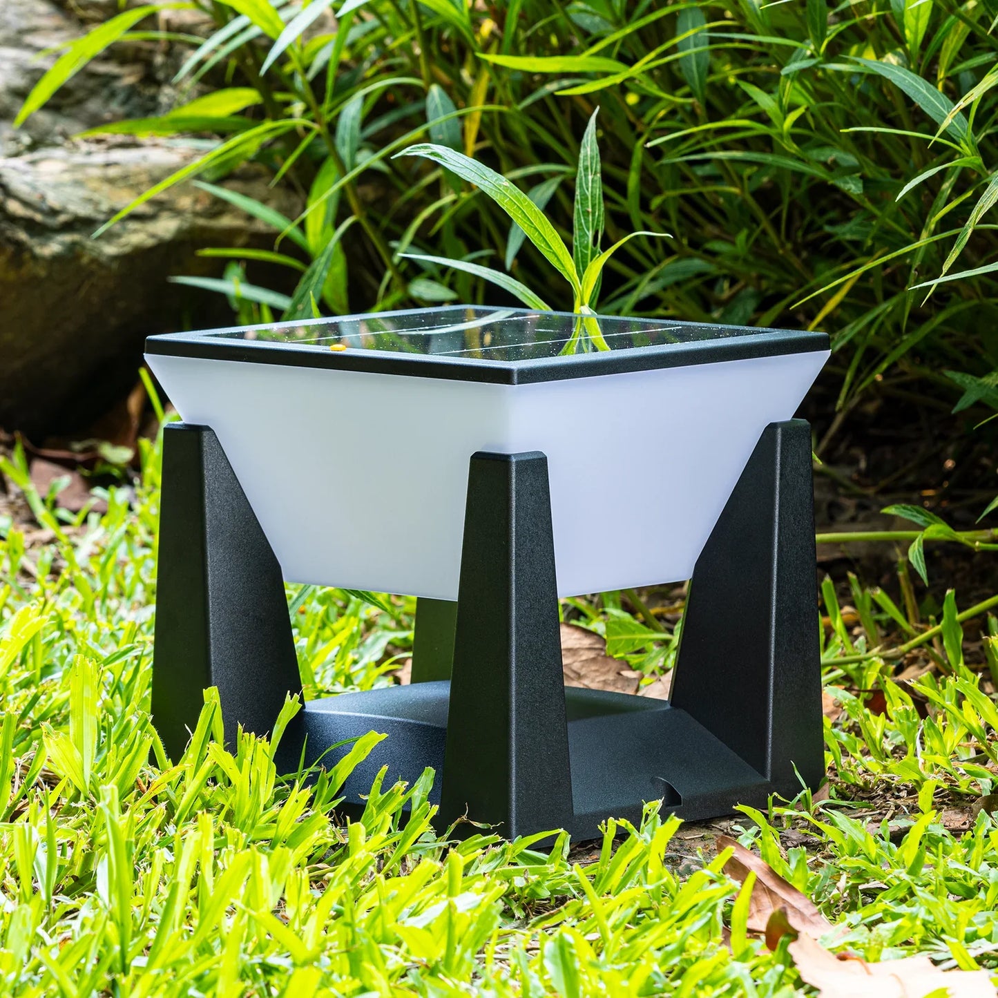 Path Solar Outdoor Light