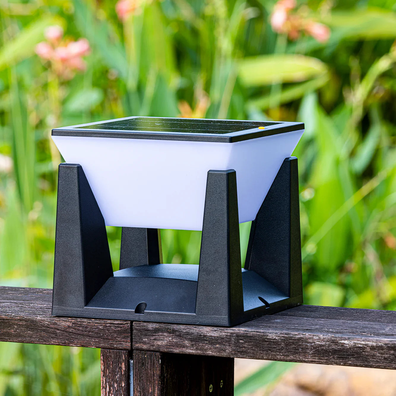 Path Solar Outdoor Light