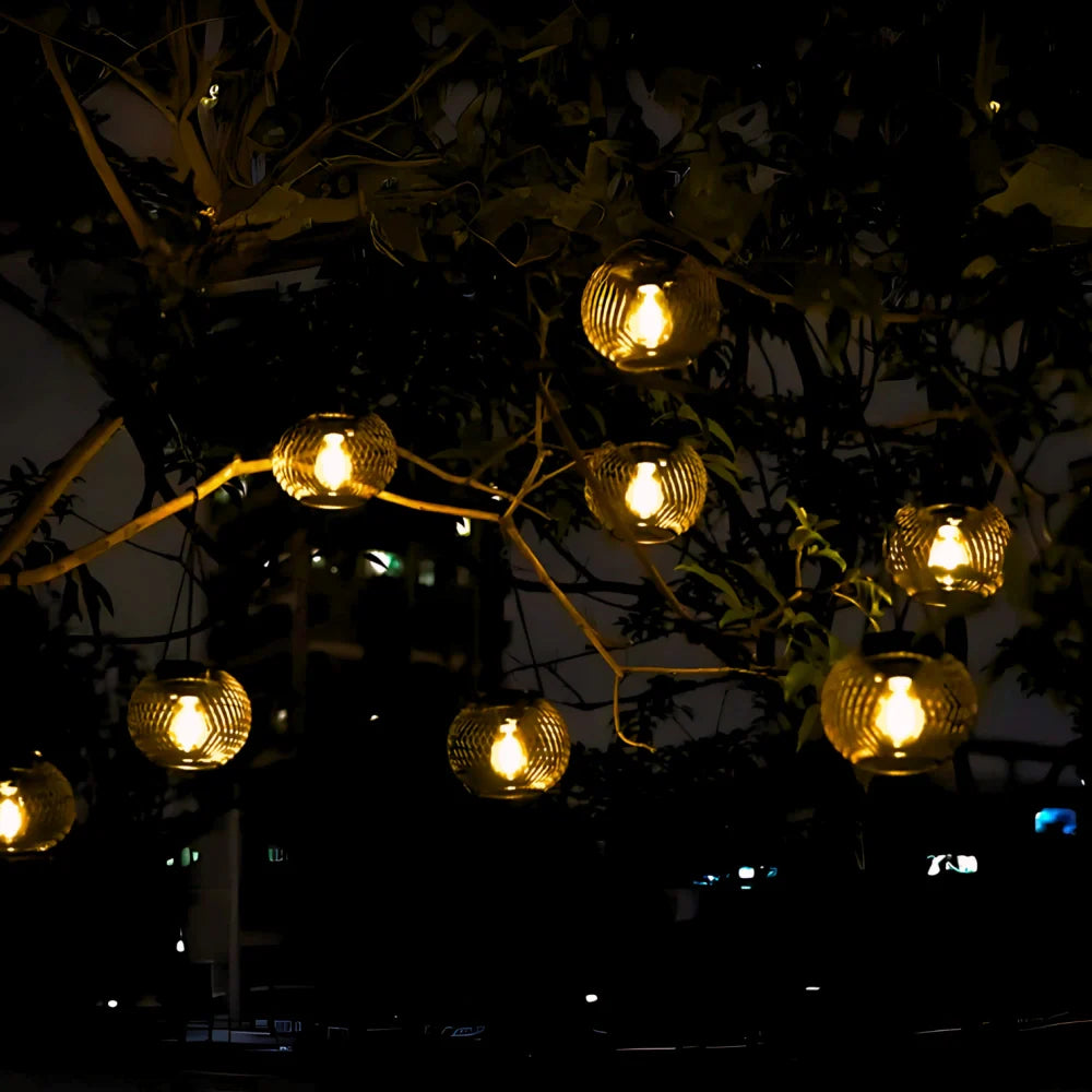 Luminous Lantern