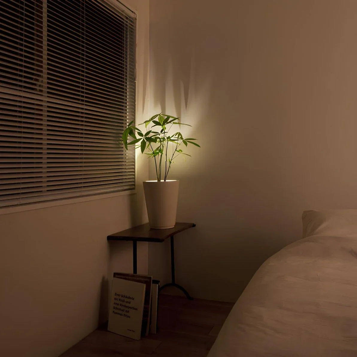 Wireless Spotlight (Set of 2)