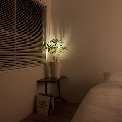 Wireless Spotlight (Set of 2)