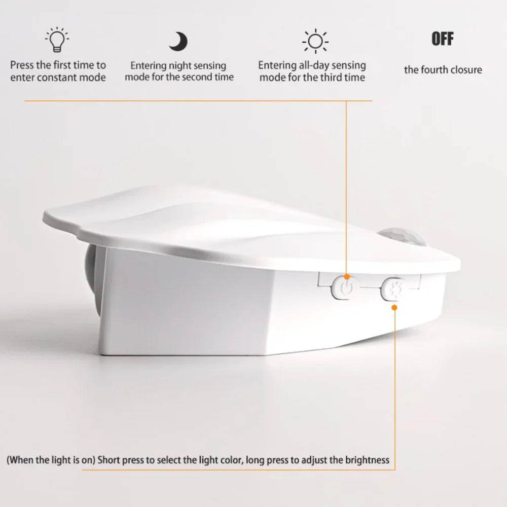Shell Motion Light