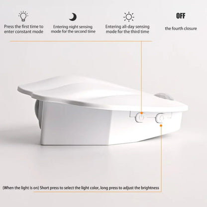 Shell Motion Light