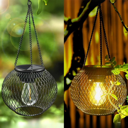 Luminous Lantern