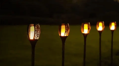 Outdoor Solar Torch (Set of 2)